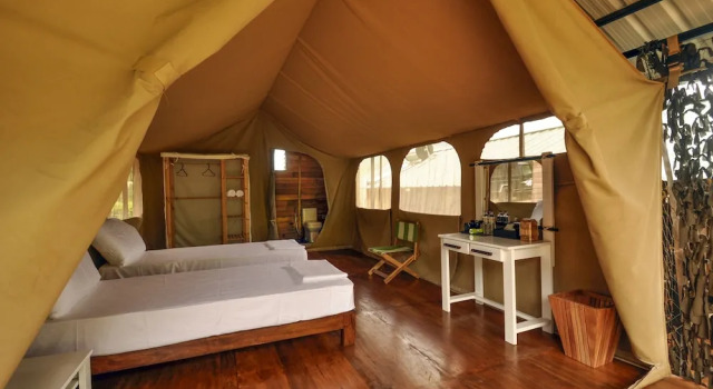 Wild Glamping, Забронировать Кемпинг Кемпинги и глэмпинги Канди, Кемпинг