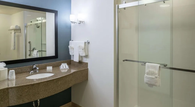 Люкс c 1 комнатой Hilton Garden Inn DFW North Grapevine