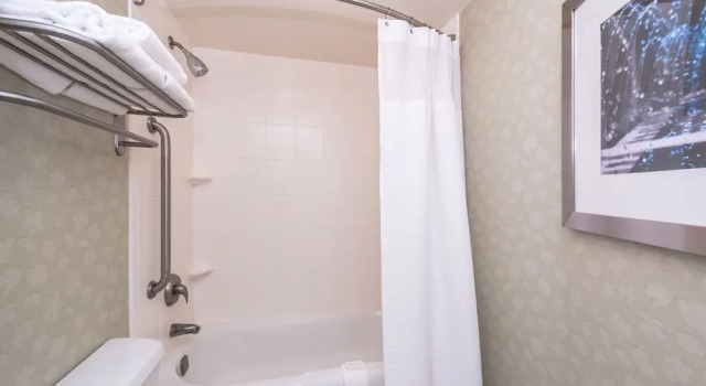 Люкс SpringHill Suites Boise West/Eagle