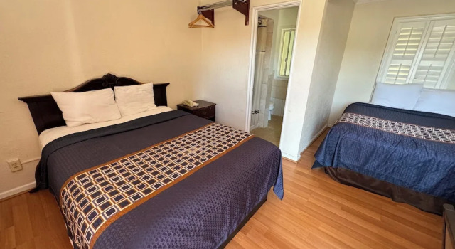 Номер Standard Tamalpais Motel