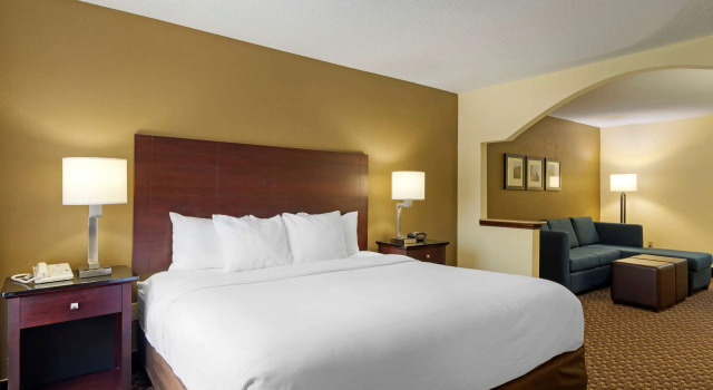 Двухместный люкс Comfort Suites Milledgeville