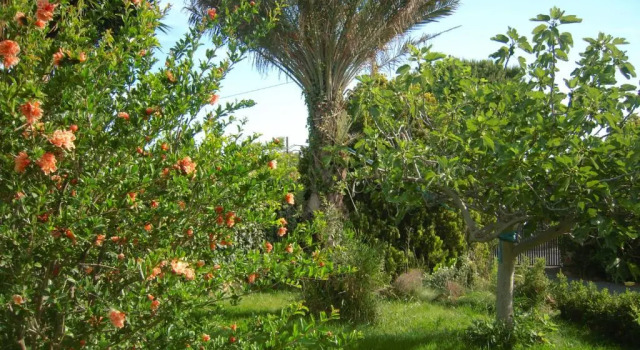 Коттедж Casa Marlela