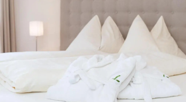 Номер Classic Hotel Lambrechtshof