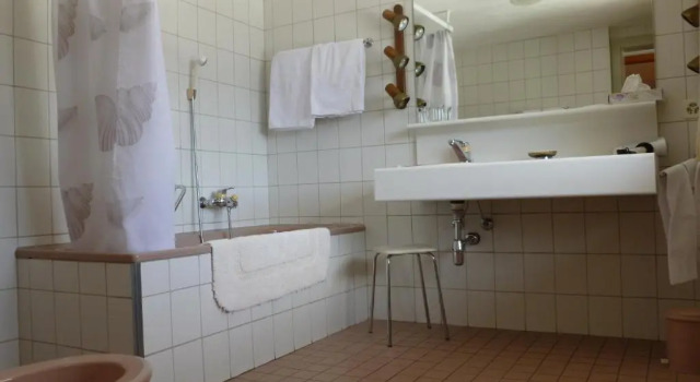 Двухместный номер Standard Hotel de la Poste Verbier