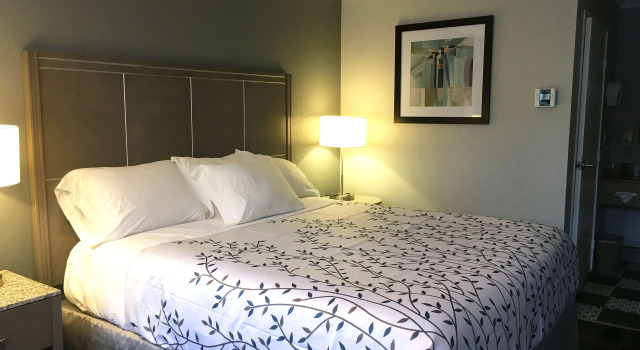 Двухместный номер Standard Americas Best Value Inn - Milpitas
