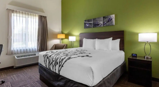 Двухместный номер Sleep Inn & Suites Tampa South