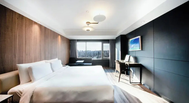 Двухместный номер Superior Eliena Hotel Seoul Gangnam