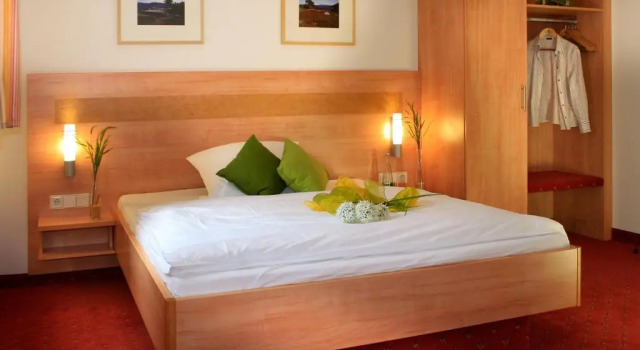 Двухместный номер Standard Maiers Johanniterbad Ringhotel Rottweil