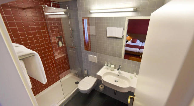Трёхместный Room Hotel International & Terminus