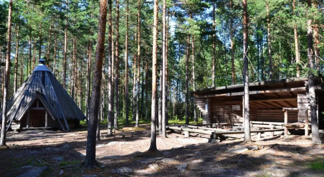 Forest Cottage, Buchen Sie Ferienhaus Sakyla Westfinnland
