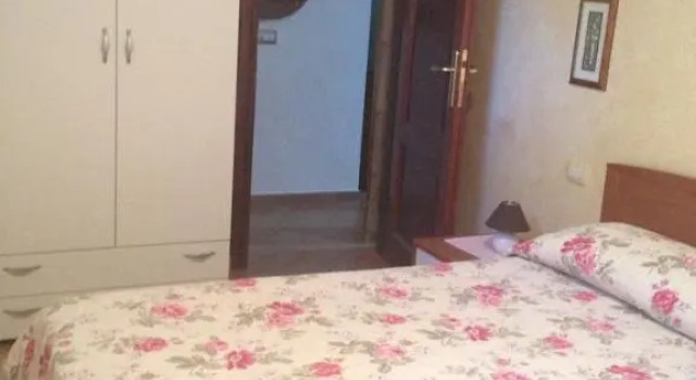 Номер Standard B&B Chorisia