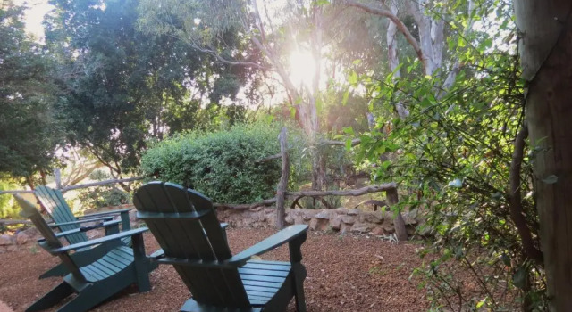 Вилла Bentwood Olive Grove Accommodation