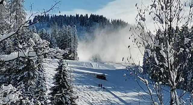 Апартаменты Landhaus Schwaighofer Dachstein West