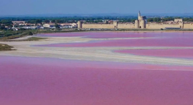 Коттедж Petite maison en camargue
