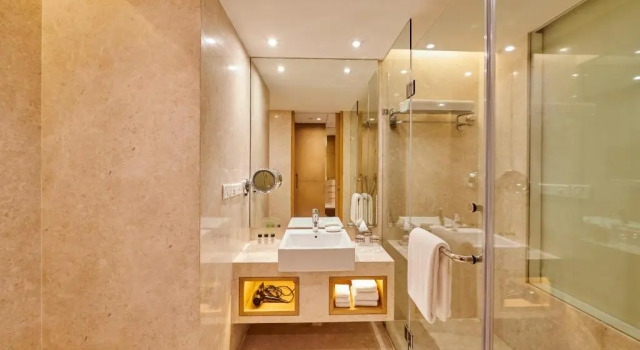 Двухместный номер Superior Holiday Inn Mumbai International Airport by IHG