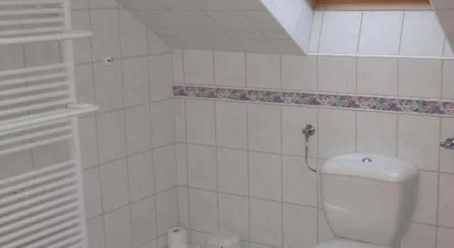 Трёхместный номер Standard Hotel Pension Loose