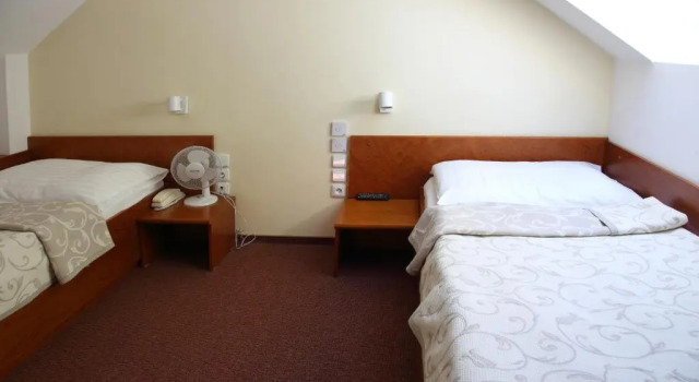 Standard Family room Hotel Čertousy