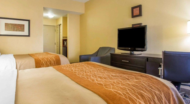 Четырёхместный номер Standard Comfort Inn & Suites at Stone Mountain