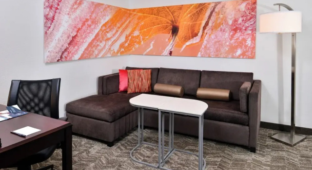 Двухместный люкс SpringHill Suites by Marriott Oklahoma City Airport