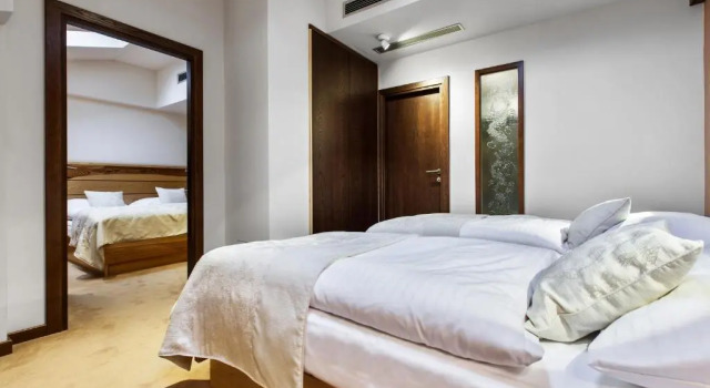 Люкс Hotel Partizán