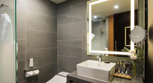 Двухместная студия Residence Novotel Ambassador Seoul Dongdaemun Hotels & Residences