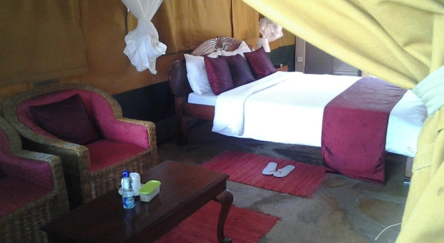 Люкс Business Bofa Beach Resort