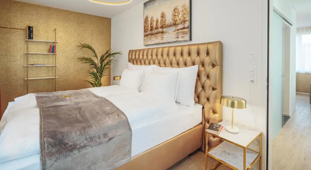 Двухместный люкс Deluxe VISIMO Apartments Mühlensteg St Gallen - Elegant Quiet Central