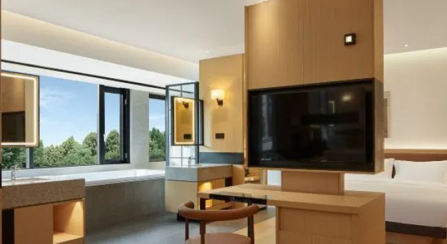 Люкс Zesly Design Hotel