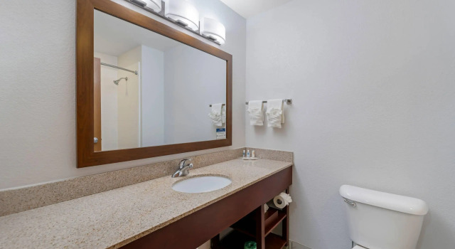 Четырёхместный люкс Comfort Suites Lake Geneva East