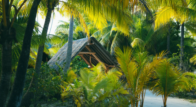 Семейная вилла c 1 комнатой The Brando, Tetiaroa Private Island