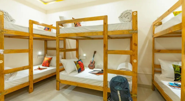 Кровать в общем номере (женский номер) The Social Stays Jaipur