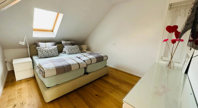 Top view residence in central Ljubljana