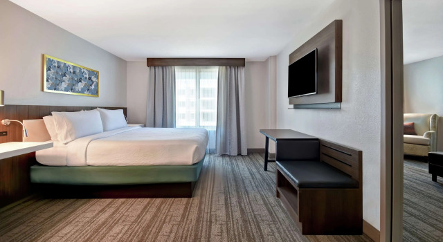 Hilton Garden Inn Houston/Galleria Area