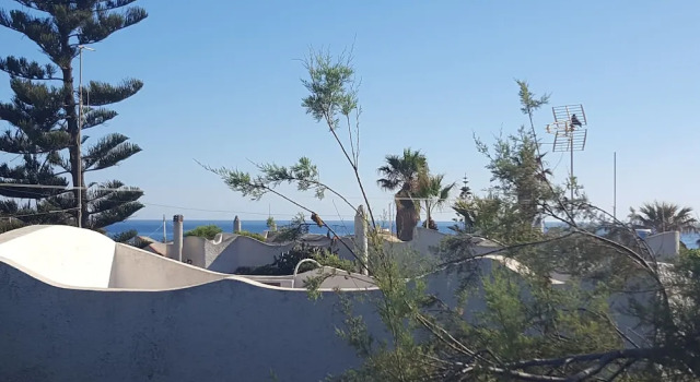 Вилла Casa Vacanze Il Sole