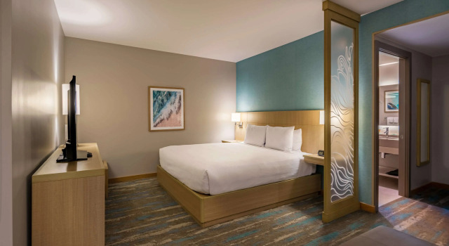 Двухместный номер (Plus Sofa Bed) Hyatt Place Aruba Airport
