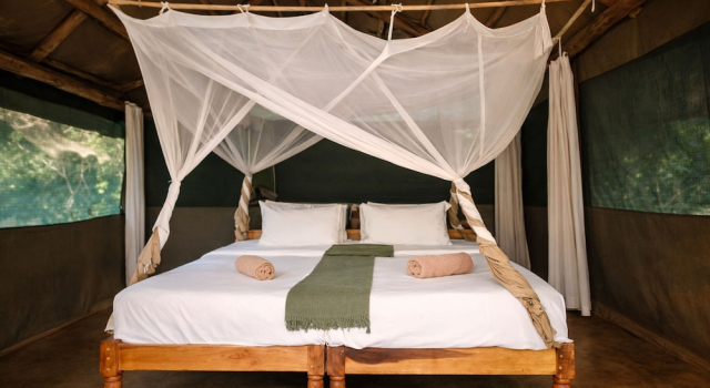 Thornicroft Lodge, Book Feriehus South Luangwa National Park 