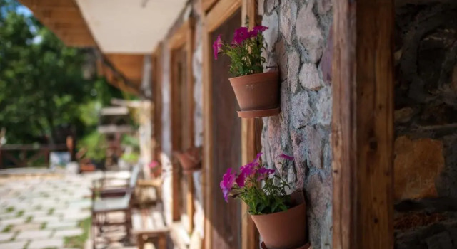 Robinson Sunset Guest House, Rezervasyon Misafirhane Lake Ohrid ucuz oteller