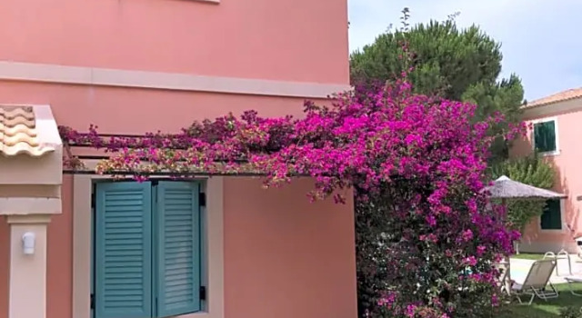 Номер Standard Satori Boutique Hotel