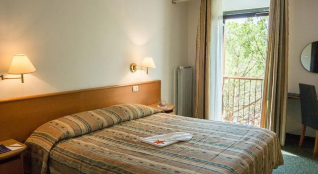 Одноместный номер Standard Hotel Vile Park