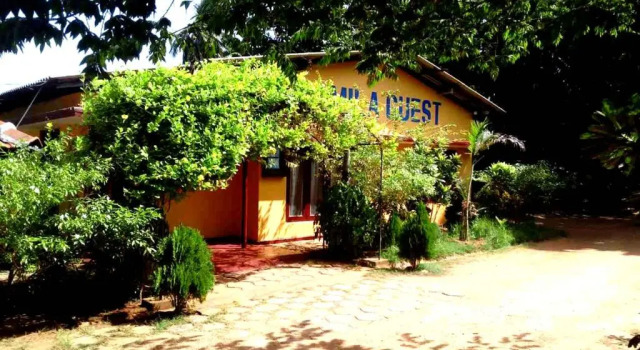 Amila Guest