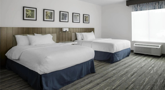 Номер Standard Hilton Garden Inn Jackson