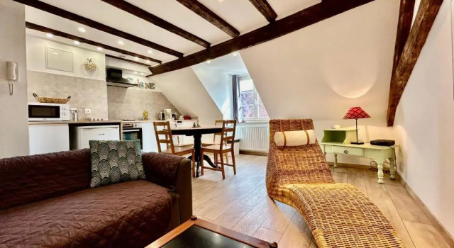 Апартаменты Дуплекс LOurs de Colmar - Appartements en centre ville