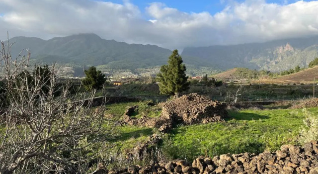 El Oasis