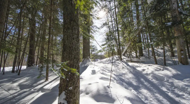 The Canadian Ecology Centre, Varaa Hotelli  