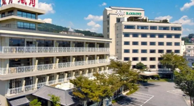 Номер Standard Ooedo Onsen Monogatari Premium Hotel Fugetsu