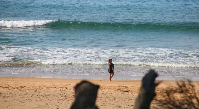 Surfspray I Pet Friendly I Absolute Beachfront