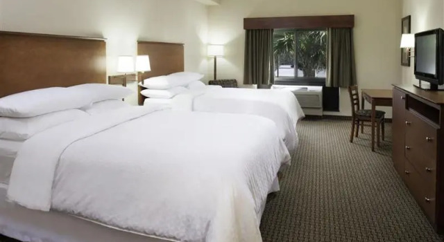 Номер Standard Four Points by Sheraton Fort Myers Airport