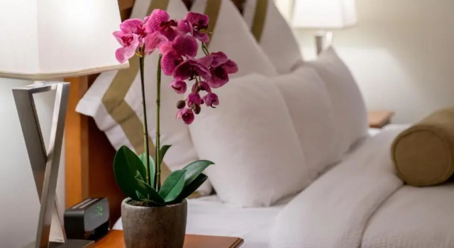 Четырёхместный номер Standard Service Plus Inns and Suites Calgary