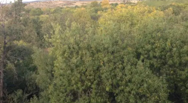 Apartamento Rural la Muralla de Pedraza, Забронировать Апартаменты/квартира Торре-Валь-де-Сан-Педро 