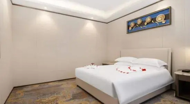 Люкс Zhenbao Holiday Hotel (Nanjing Olympic Sports Center)